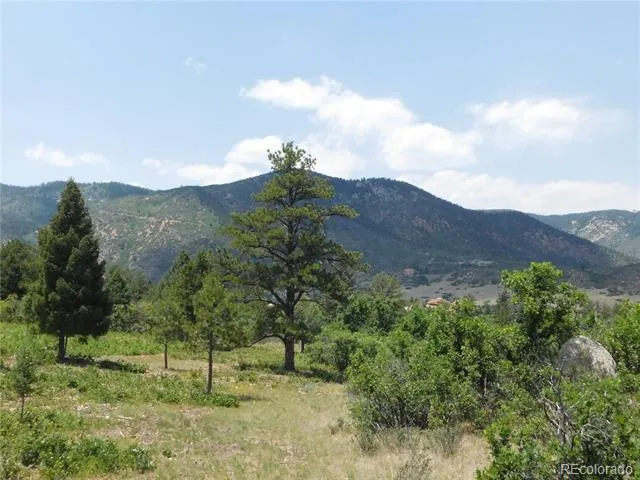 6447 Thunderbird Road Larkspur, CO 80118