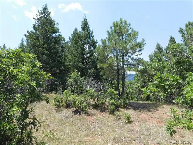 6447 Thunderbird Road Larkspur, CO 80118