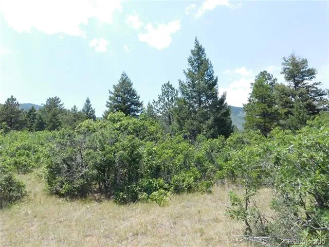6447 Thunderbird Road Larkspur, CO 80118