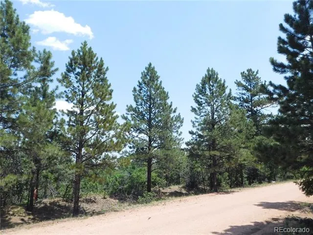 6447 Thunderbird Road Larkspur, CO 80118
