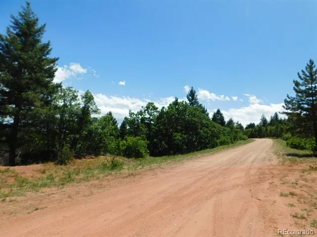 6447 Thunderbird Road Larkspur, CO 80118