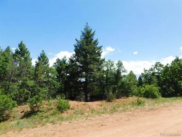 6447 Thunderbird Road Larkspur, CO 80118