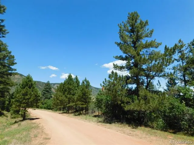 6447 Thunderbird Road Larkspur, CO 80118