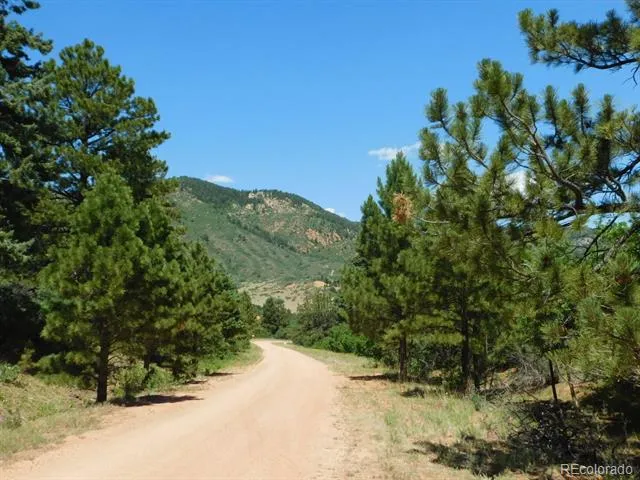 6447 Thunderbird Road Larkspur, CO 80118