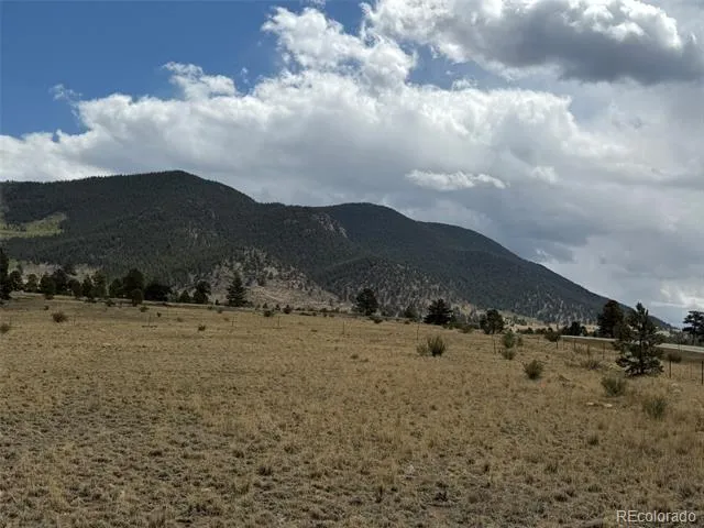 42 Turner Gulch Road Hartsel, CO 80449