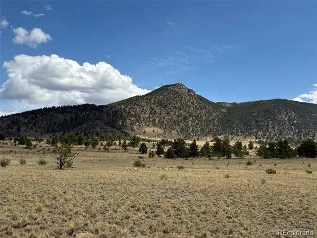 42 Turner Gulch Road Hartsel, CO 80449