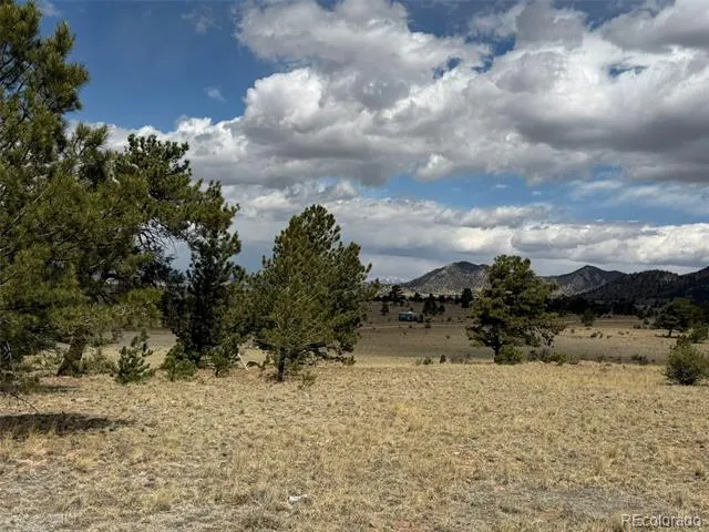 42 Turner Gulch Road Hartsel, CO 80449