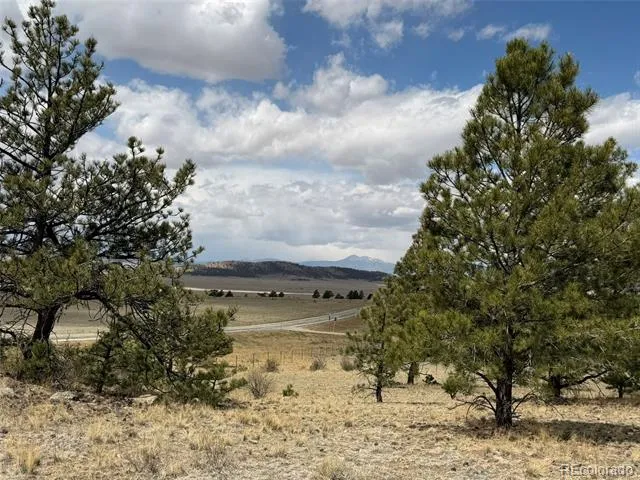 42 Turner Gulch Road Hartsel, CO 80449