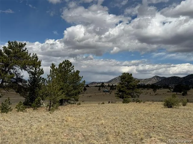 42 Turner Gulch Road Hartsel, CO 80449