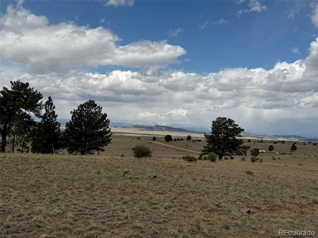 42 Turner Gulch Road Hartsel, CO 80449