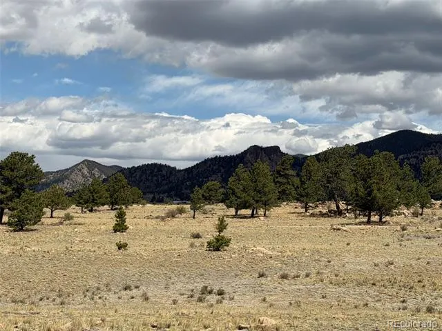 42 Turner Gulch Road Hartsel, CO 80449