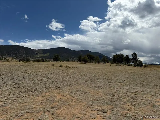42 Turner Gulch Road Hartsel, CO 80449