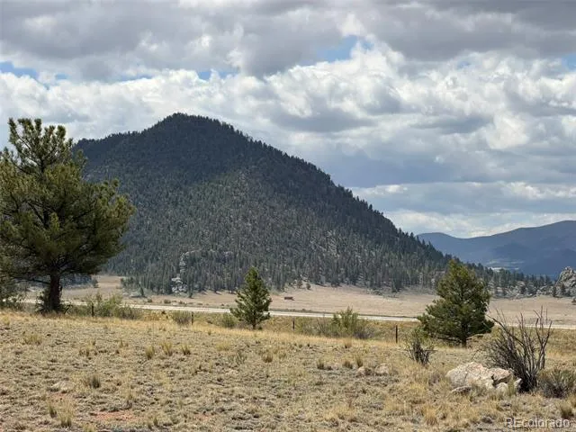 42 Turner Gulch Road Hartsel, CO 80449