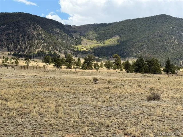 42 Turner Gulch Road Hartsel, CO 80449