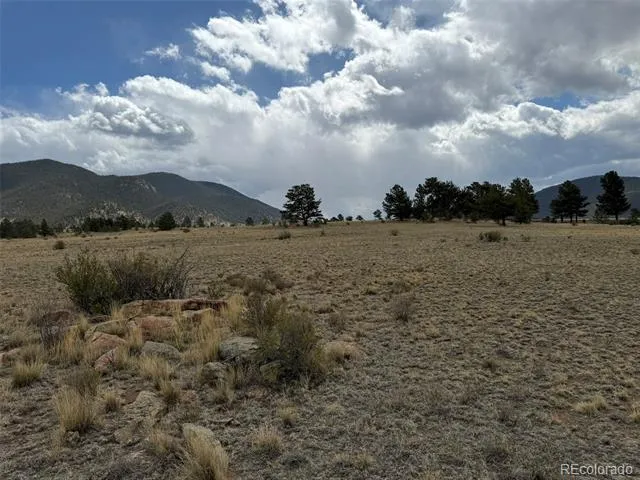 42 Turner Gulch Road Hartsel, CO 80449