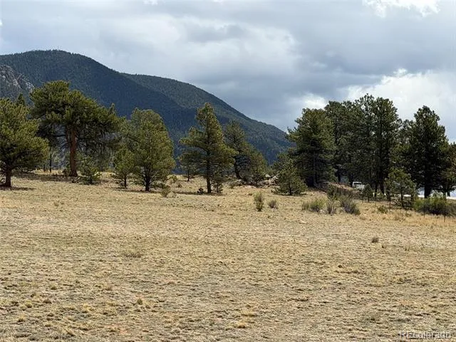 42 Turner Gulch Road Hartsel, CO 80449