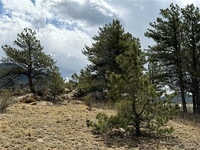 42 Turner Gulch Road Hartsel, CO 80449
