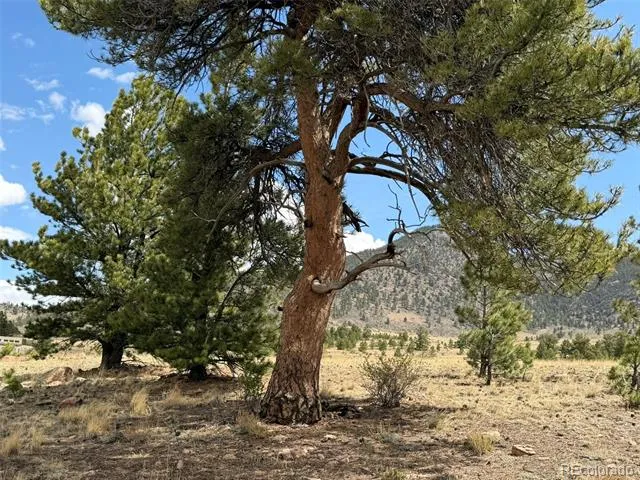 42 Turner Gulch Road Hartsel, CO 80449