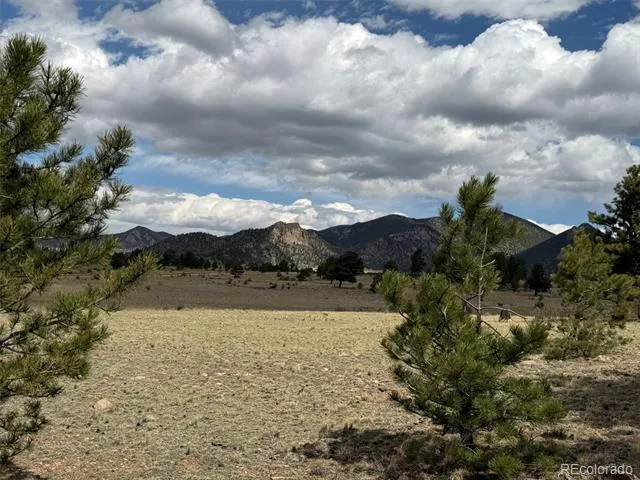 42 Turner Gulch Road Hartsel, CO 80449