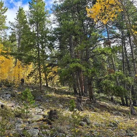 5347 Monitor Lode Claims Leadville, CO 80461