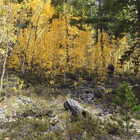 5347 Monitor Lode Claims Leadville, CO 80461