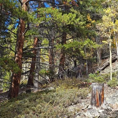 5347 Monitor Lode Claims Leadville, CO 80461
