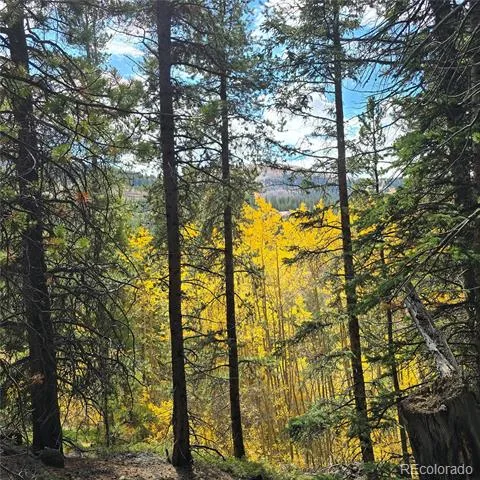5347 Monitor Lode Claims Leadville, CO 80461