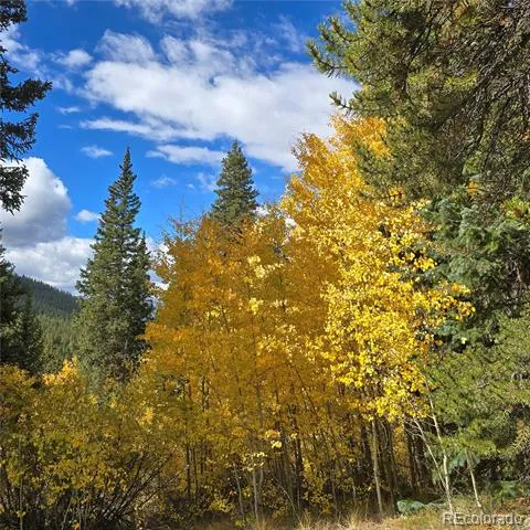 5347 Monitor Lode Claims Leadville, CO 80461