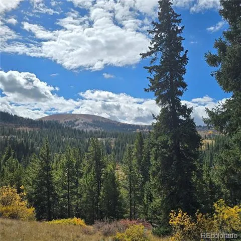 5347 Monitor Lode Claims Leadville, CO 80461