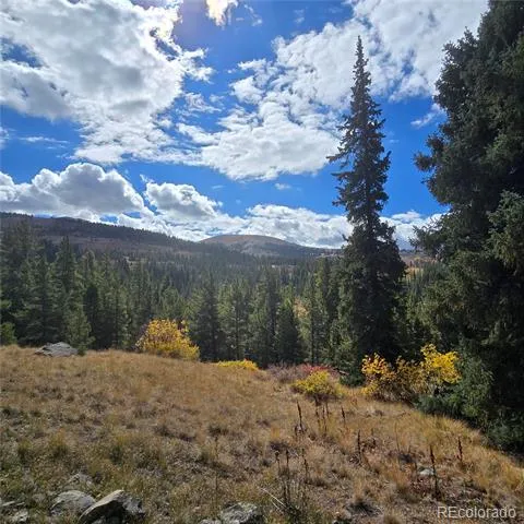 5347 Monitor Lode Claims Leadville, CO 80461