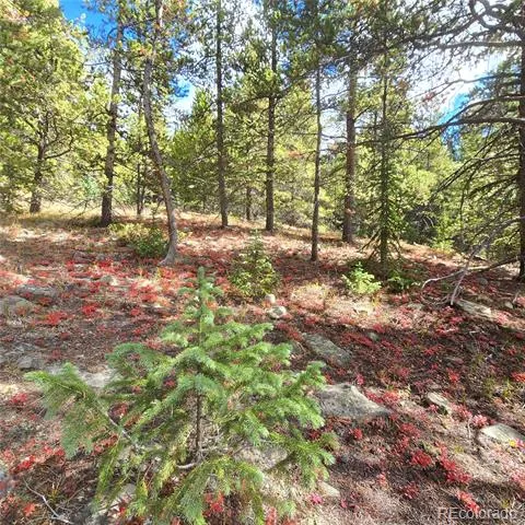 5347 Monitor Lode Claims Leadville, CO 80461
