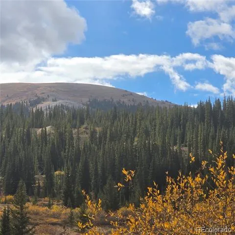 5347 Monitor Lode Claims Leadville, CO 80461