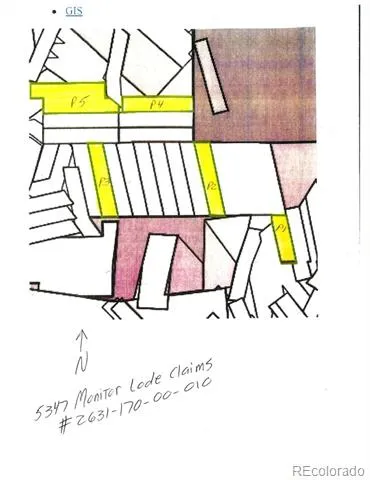 5347 Monitor Lode Claims Leadville, CO 80461