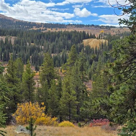 5347 Monitor Lode Claims Leadville, CO 80461