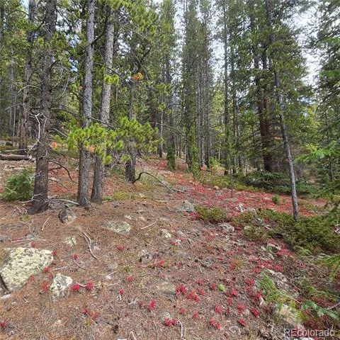5347 Monitor Lode Claims Leadville, CO 80461