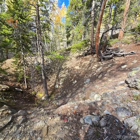 5347 Monitor Lode Claims Leadville, CO 80461