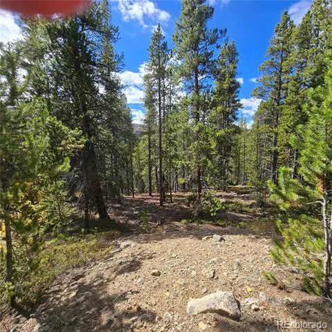5347 Monitor Lode Claims Leadville, CO 80461