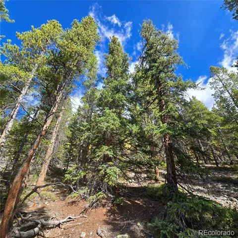 5347 Monitor Lode Claims Leadville, CO 80461