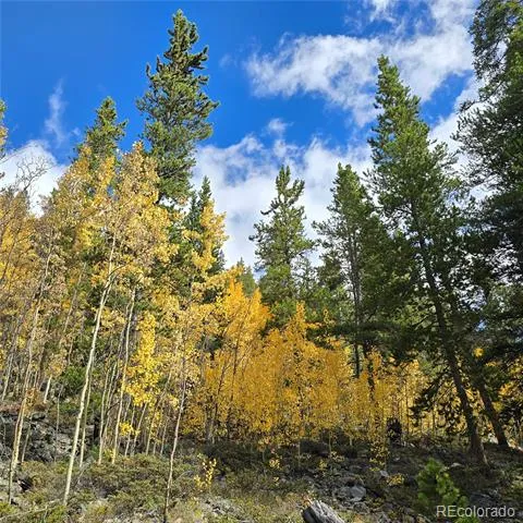 5347 Monitor Lode Claims Leadville, CO 80461