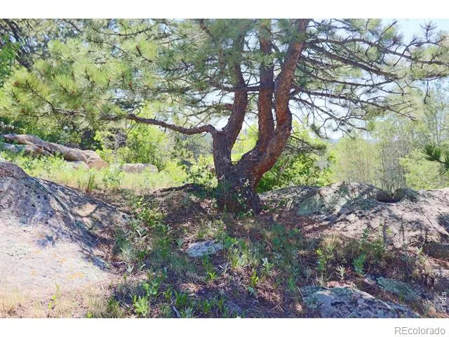 636 Ranch Road Ward, CO 80481