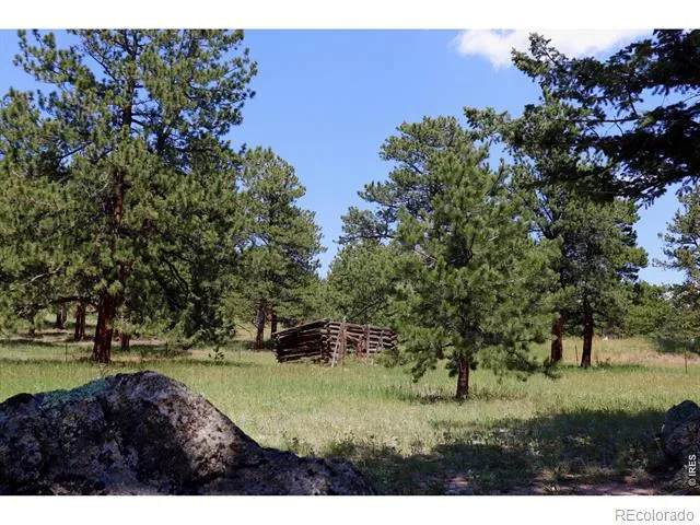 636 Ranch Road Ward, CO 80481