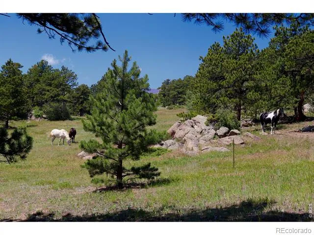 636 Ranch Road Ward, CO 80481