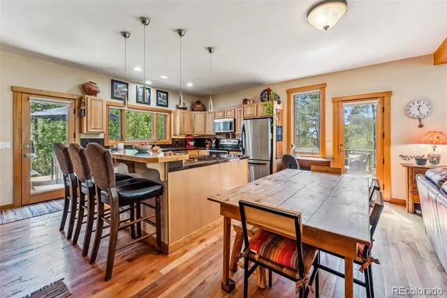 228 Glacier Ridge Road Alma, CO 80420