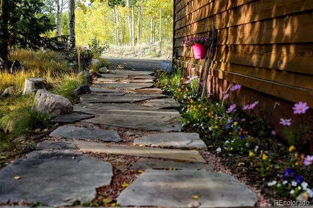 228 Glacier Ridge Road Alma, CO 80420
