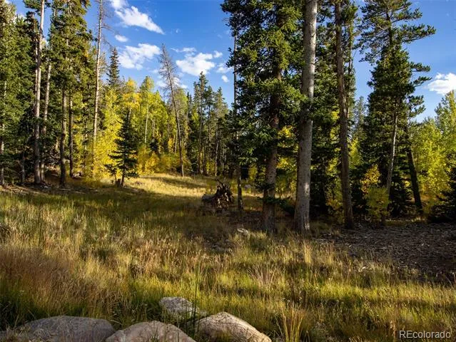 228 Glacier Ridge Road Alma, CO 80420