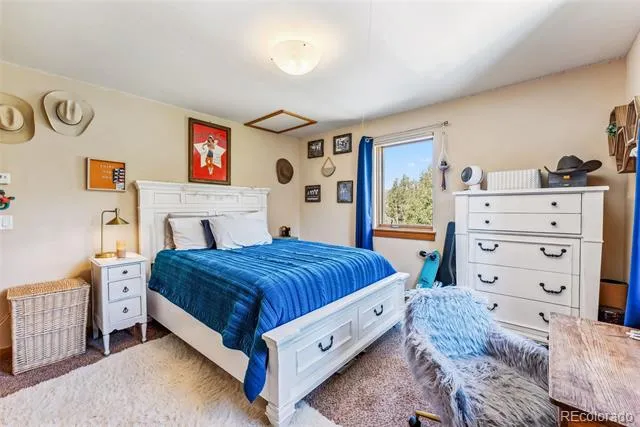 228 Glacier Ridge Road Alma, CO 80420
