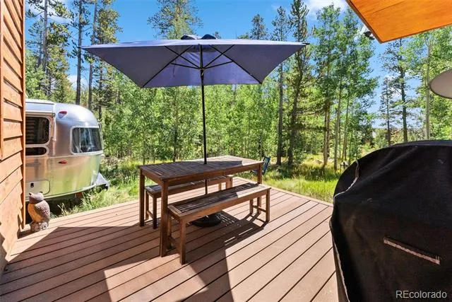 228 Glacier Ridge Road Alma, CO 80420