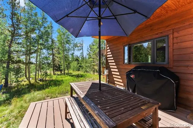 228 Glacier Ridge Road Alma, CO 80420