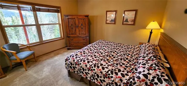 562 Piney Acres Circle Dillon, CO 80435