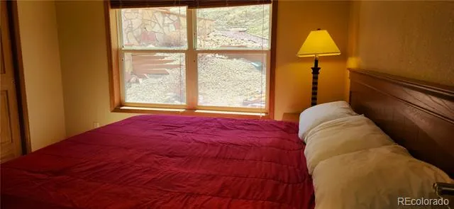 562 Piney Acres Circle Dillon, CO 80435